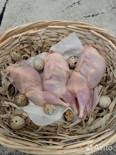 Мясо перепелов