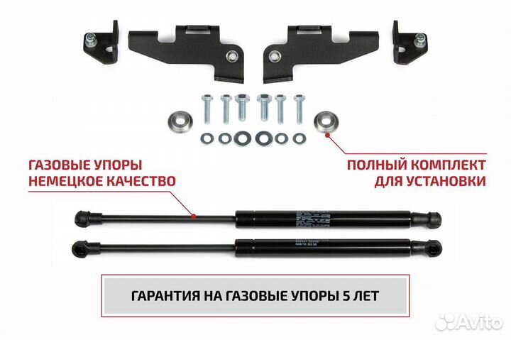 Газовые упоры капота Ford Focus III 11-19