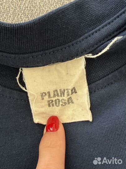 Planta rosa лонгслив