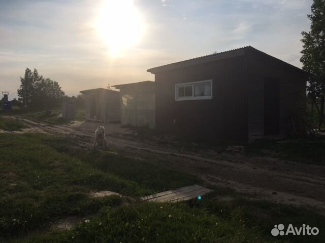 Фермерское хозяйство