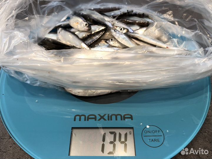 Охота и рыбалка