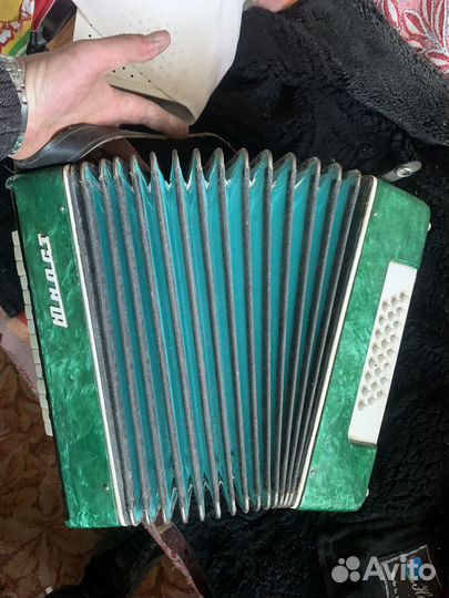 Аккордеон Юность