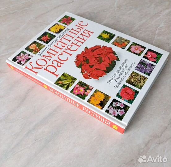 Энциклопедия Комнатные Растения