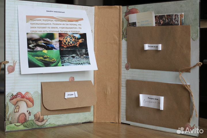 Лэпбук окружающий мир 1-2 класс