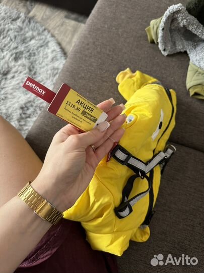 Одежда для собак мелких пород