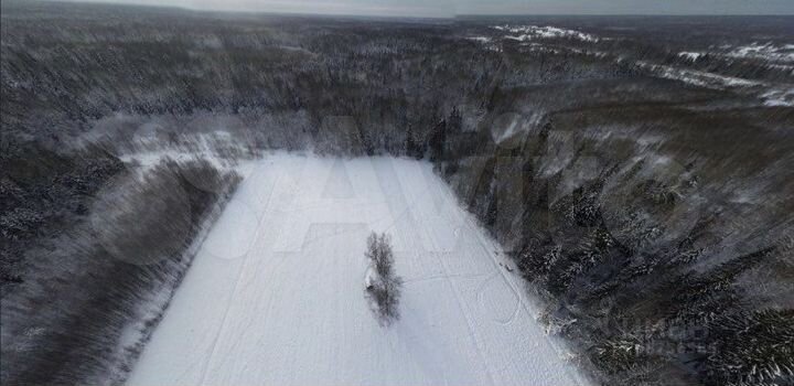 Участок 4,96 га (СНТ, ДНП)