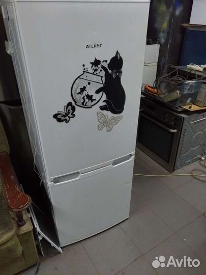 Холодильник ширина 55 см