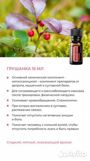 Грушанка Wintergreen / 15 мл / DoTerra