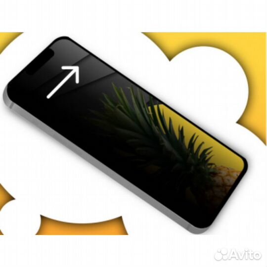 Защитное стекло Private iPhone 13 Pro Max / 14 Plu