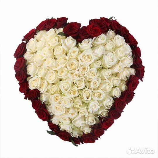 101 роза цветы букеты роза доставка 25 51 75