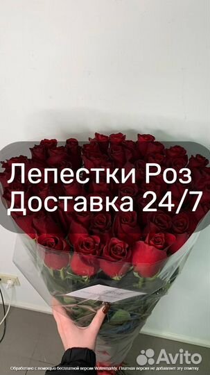 Лепестки роз большие Эквадор