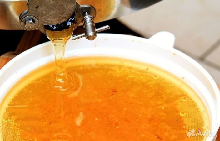 Мед натуральный с Алтая опт от 16кг