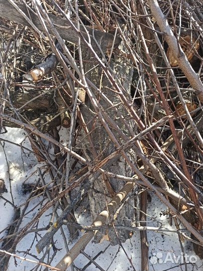 Чурбаки фрукт деревьев для мангала шашлыка