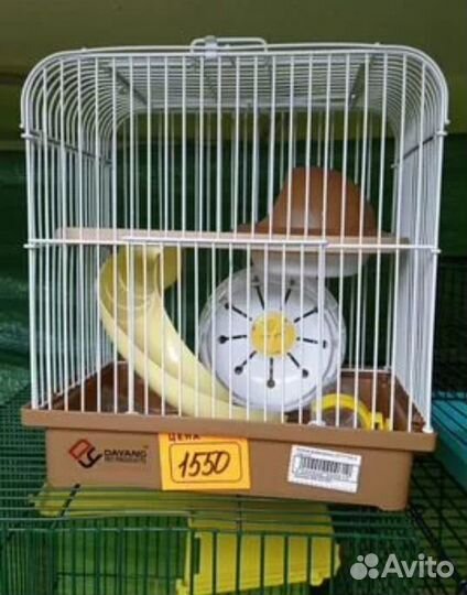 Продам хомячков