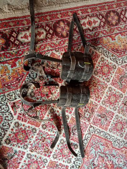 Гаффы древолазы