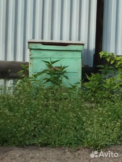 Продам ульи для пчел