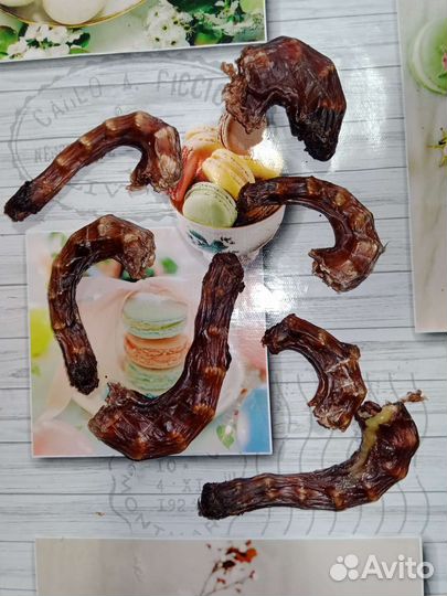 Лакомство для собак