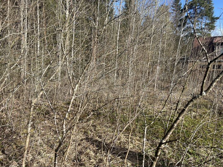 Участок 9 сот. (СНТ, ДНП)