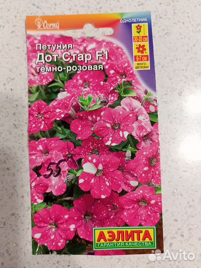 Петуния, рассада