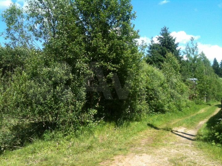 Участок 8,4 сот. (СНТ, ДНП)