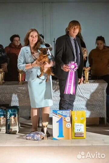 Услуги Хендлера