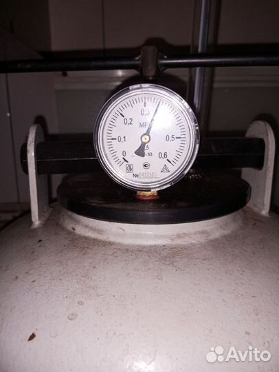 Шпроты домашние из копчёной салаки