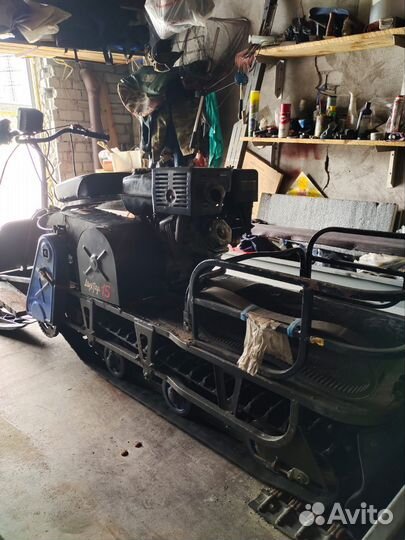 Мото собака