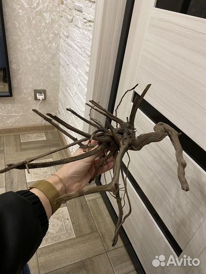 Аквариумная коряга