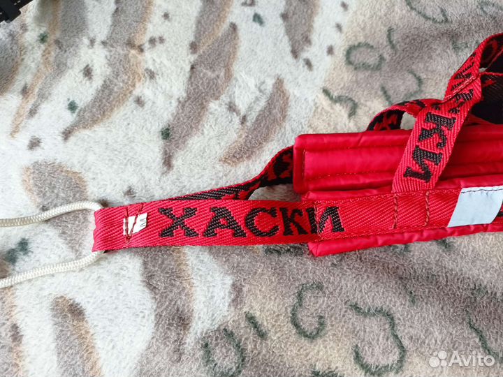 Ездовая шлея для Хаски размер М