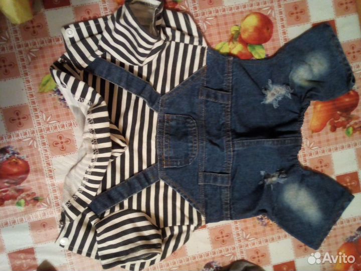 Одежда для собак мелких пород