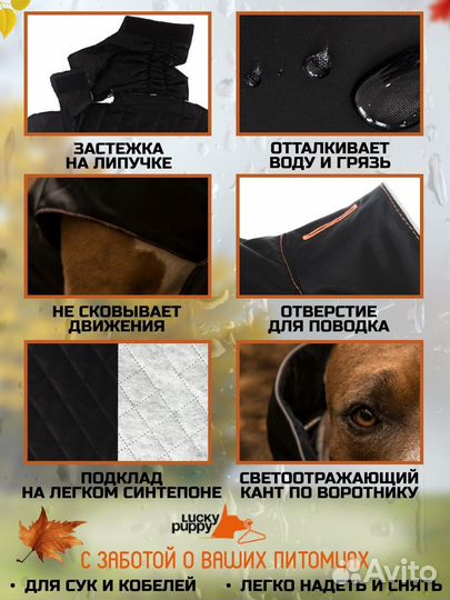 Попона для собак, куртка комбинезон новая