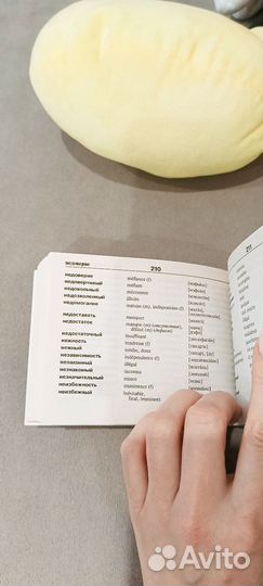 Французско-русский словарь. Новый