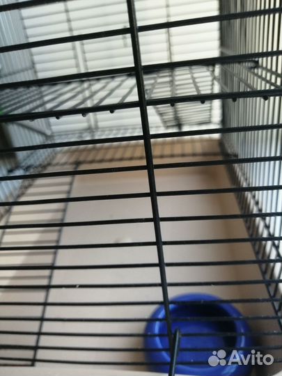 Клетка для грызунов бу