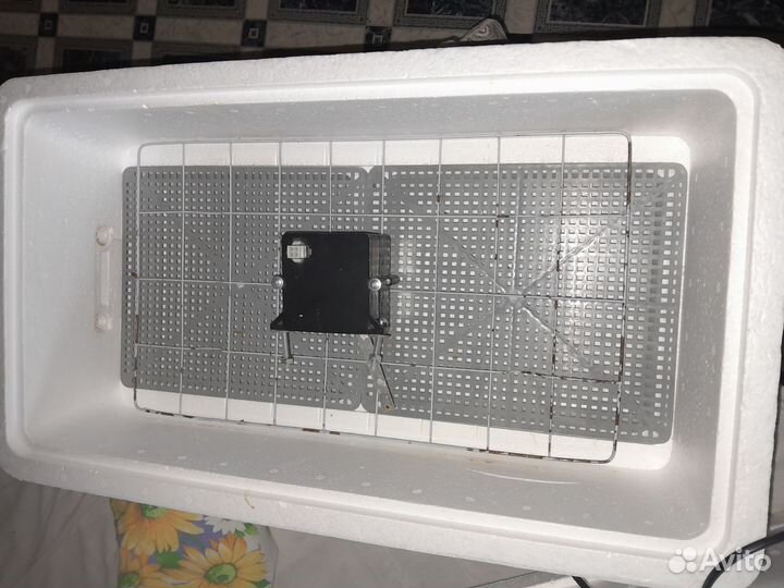 Инкубатор для яиц автоматический бу