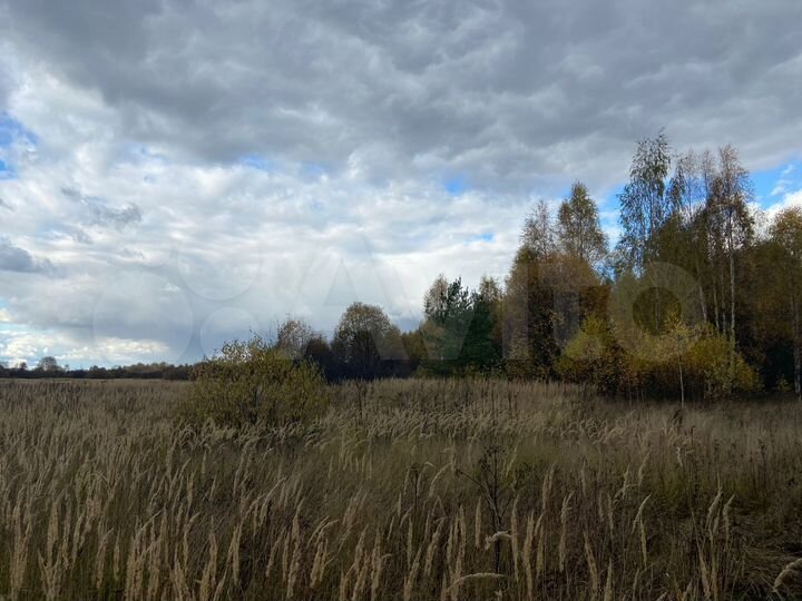 Участок 4,48 га (СНТ, ДНП)