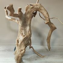 Коряги для аквариума, Благовещенск