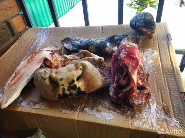 Субпродукты