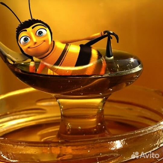 Мёд.Пыльца. Прополис. Свежий Урожай 2023 г