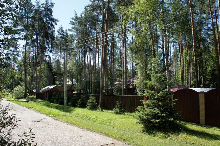 Участок 52,4 сот. (ИЖС)