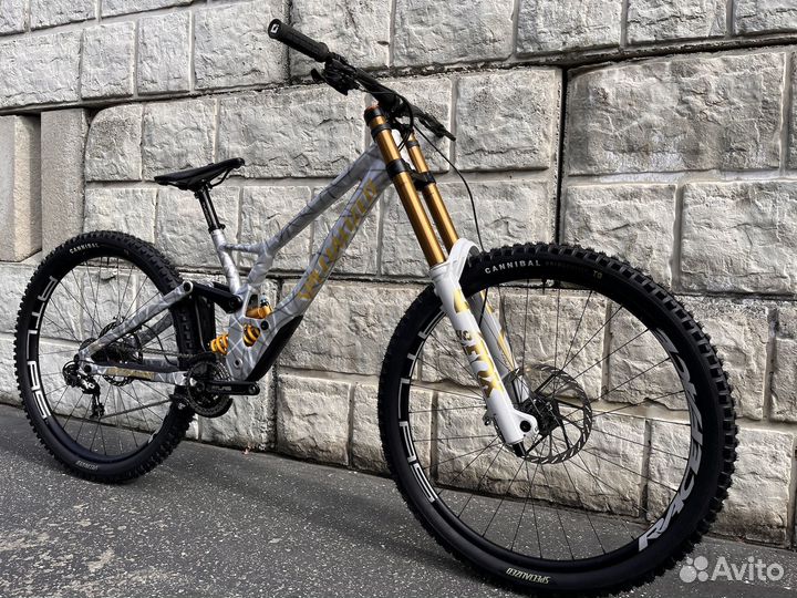 Велосипед Specialized Demo 29 Custom (L, 2024)