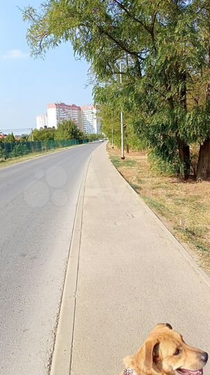 Комната 42 м² в 2-к., 2/5 эт.