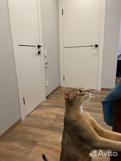 Межкомнатные двери люкс класса