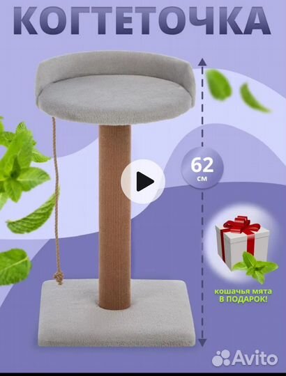 Когтеточка