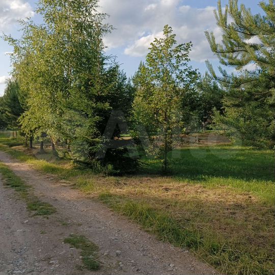 Участок 12 сот. (СНТ, ДНП)