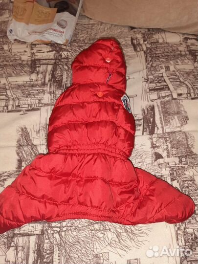 Одежда на маленькую собаку