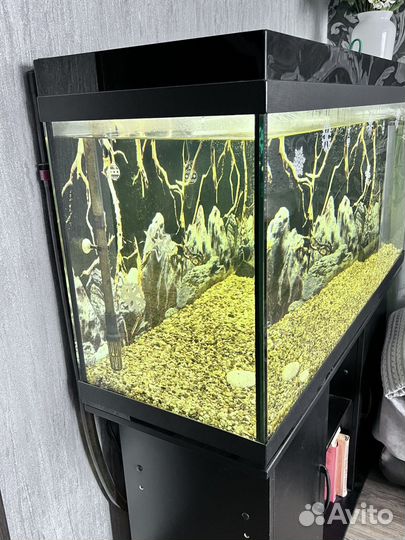Аквариум с тумбой 240л