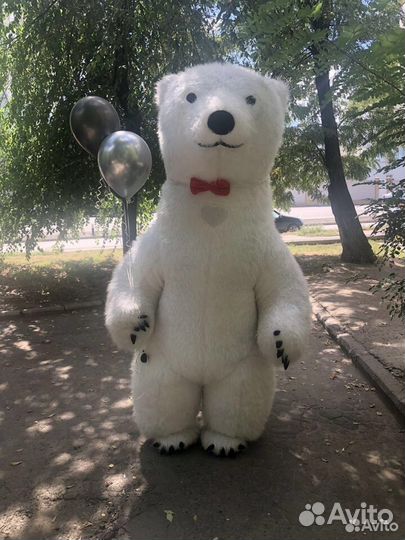 Экспресс поздравление от мишки и зайки