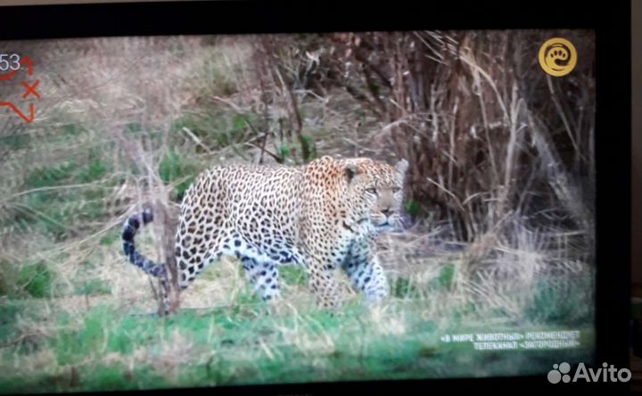 Цветной Ж/К телевизор