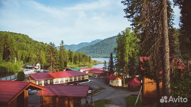 Отдых на Алтае