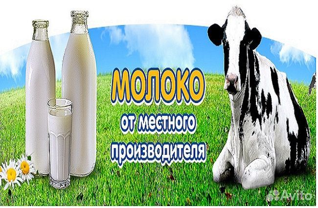 Работа вахтой с проживанием на молочный завод